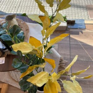 FLOR AMARILLA